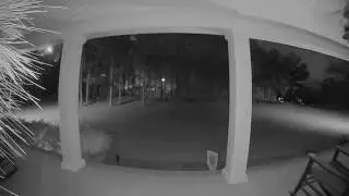 Nest camera catches Georgia meteor, lands in Gainesville (Catches night sky on Fire) 3/31/19