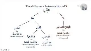 The difference between لَا and مَا