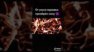 от укуса муравья приабрёл силу