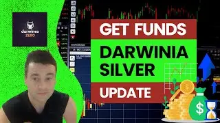 Darwinex Zero | Trading DarwinIA SILVER to get Funding? (2-week update)