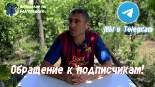 Обращение к подписчикам! Наш Telegram канал clubvina