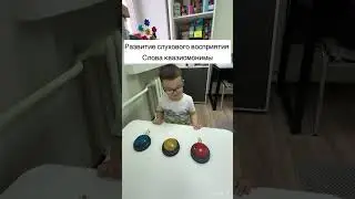 Развитие слухового восприятия