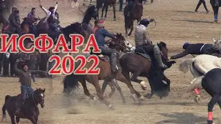 Исфара Улок Бузкаши  23.02.2022 Isfara Uloq Buzkashi Tojikiston Uzbekiston 