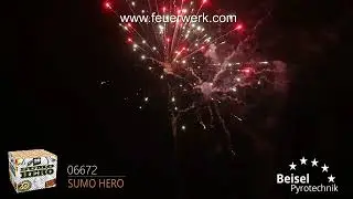 06672 Sumo Hero - Lesli
