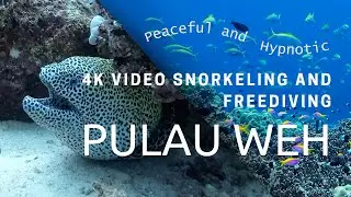Peaceful Hypnotic 4K Video Snorkeling and Freediving off the Gorgeous Indonesian Island of Pulau Weh