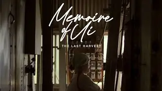NIKO NEKO / MATCHA - Memoire of Ui Episode III