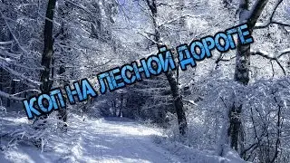 Коп на лесной дороге.