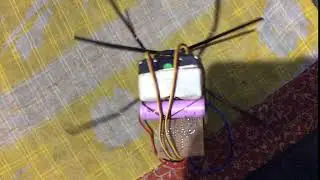 spider b