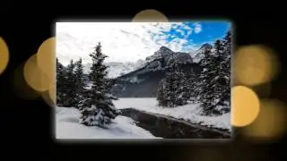 Silent Night