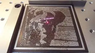 Pepper