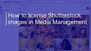 How to license Shutterstock images | OpenText Media Management