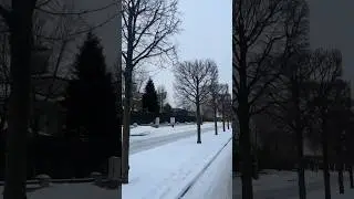 Гениальный дизайнер, дерево в форме куба
