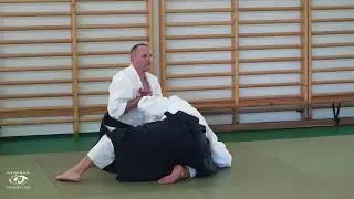 Aikido: Stephane Goffin Balaton Seminar 2023 Summary