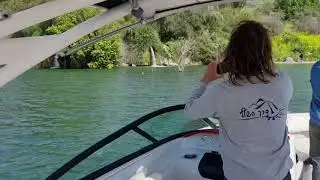 השכרת סירה פרטית בכנרת שייט לסוואנה הישראלית לתוך אפיק הירדן - שייט בכנרת