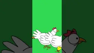 Cartoon Chicken running green screen