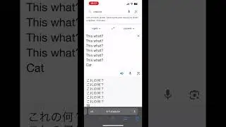 Inglês vs Japonês #tradutor #google #thiswhat? #cat #meme #funny #memes #memesvideo #konenani