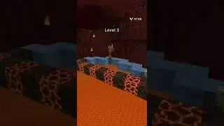 Minecraft Zombie Pigman IQ test #shorts #minecraft