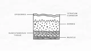 Chemical Peel Overview - Different Chemical Peel Strengths, Benefits, and Levels explained!