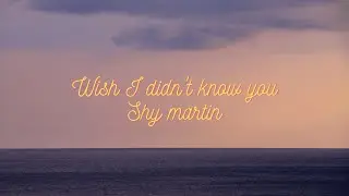 Shy martin - Wish I didn't know you | Lyric