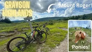 Riding with Wild Ponies at Grayson Highlands State Park!