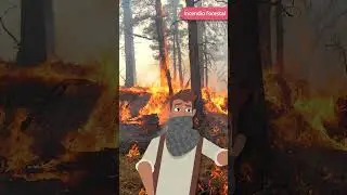 ¿Qué es un INCENDIO FORESTAL? 🔥