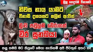 නිවස නාය යාමට විනාඩි දහයකට කලින් ඇවිත් මුළු පවුලම බේරාගත් වීර සුනඛයා - Kalu