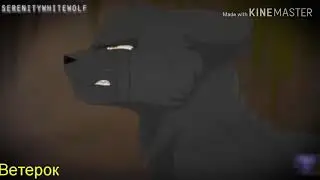 Коты Воители Клип - Don't Dwell