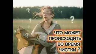 ЧТО ПРОИСХОДИТ ВО ВРЕМЯ ЧИСТКИ