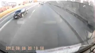 Везучий Пёс.