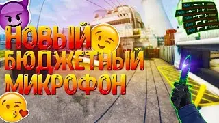 БЮДЖЕТНЫЙ МИКРОФОН / БЮДЖЕТНЫЙ МИКРОФОН С АЛИ / ДЕШЕВЫЙ МИКРОФОН / Popu Pine