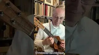 O Haupt voll Blut und Wunden - J. S. Bach (Classical ukulele)