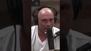 Joe Rogan’s Scary Taekwondo Knockout
