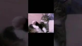 Солнышко моё 💗