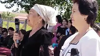 Выпускники-2024