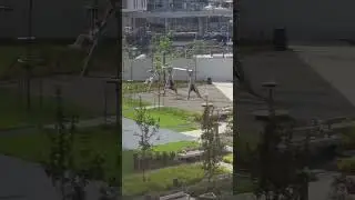 #брат