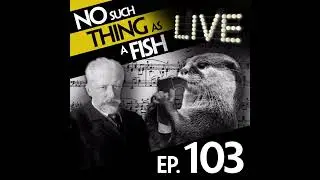 103: No Such Thing As A Boa Constructor
