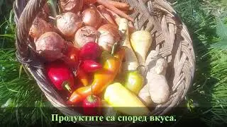 Универсална заготовка за заети домакини. खाना पकाने के लिए सब्जियाँ  蔬菜