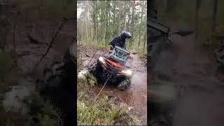 У кого еще жены так думают? 🤣