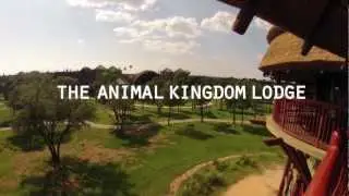 DIsney's Animal Kingdom Lodge Timelapse