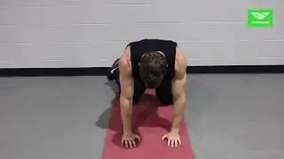 WEIGHT LIFTING - Single Arm Plank