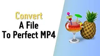 How To Convert a File to a Perfect MP4 in Handbrake (2026)