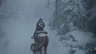 Tlou2