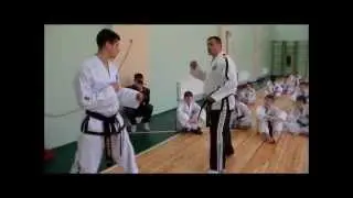 Sparring seminar by Nashchinets A.A. Borispol Tae kwon Do I.T.F.HAN-MUN.