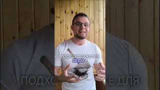 Факты о становой тяге