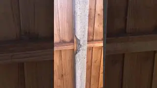 Uk New Build Snagging Inspection Part 1/2 #68