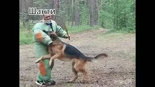 Шанти 23 июня 2024