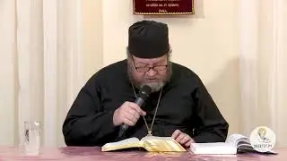 Протоиерей Олег Стеняев -Евангелие от Иоанна глава - 11