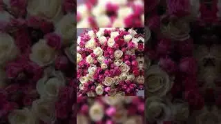 С Днем рождения,Маргарита!!!!!