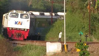 KING WILIS MELIUK TAJAM!! MUNCUL DI BELAKANG BUKIT HUNTING KERETA API