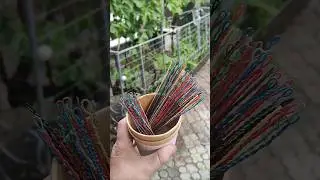 Подвязка винограда! 